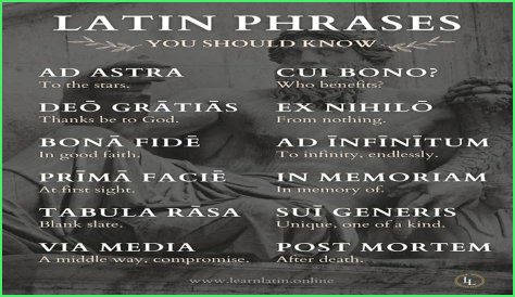 A Profile Of A Latin Beauty